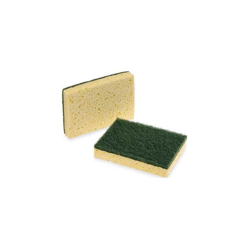 Gamex Spugna Tabacco accoppiata professionale 10 pezzi